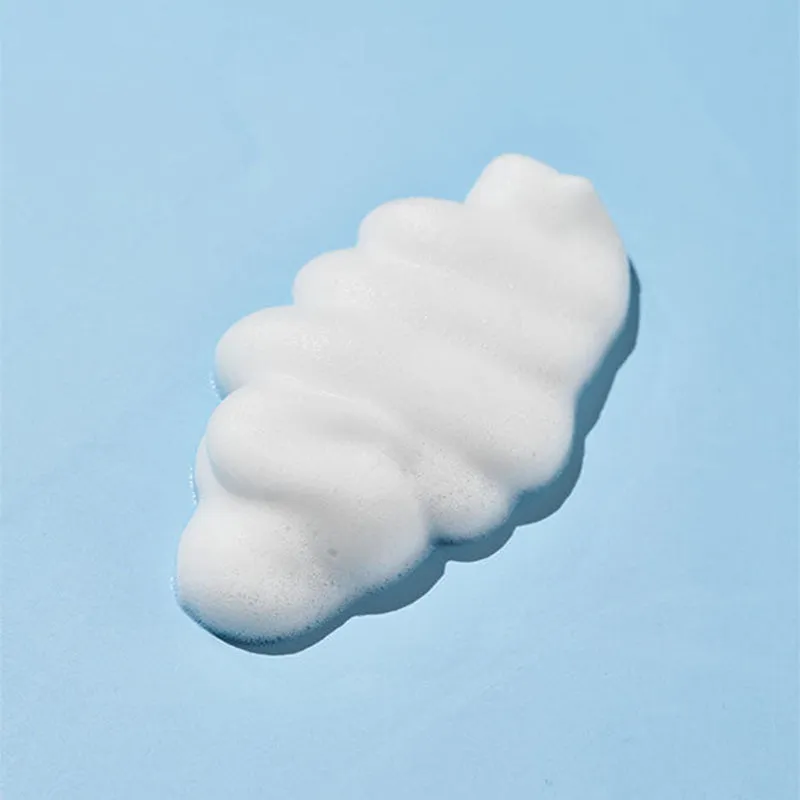 Round Lab 1025 Dokdo Bubble Foam 150ml