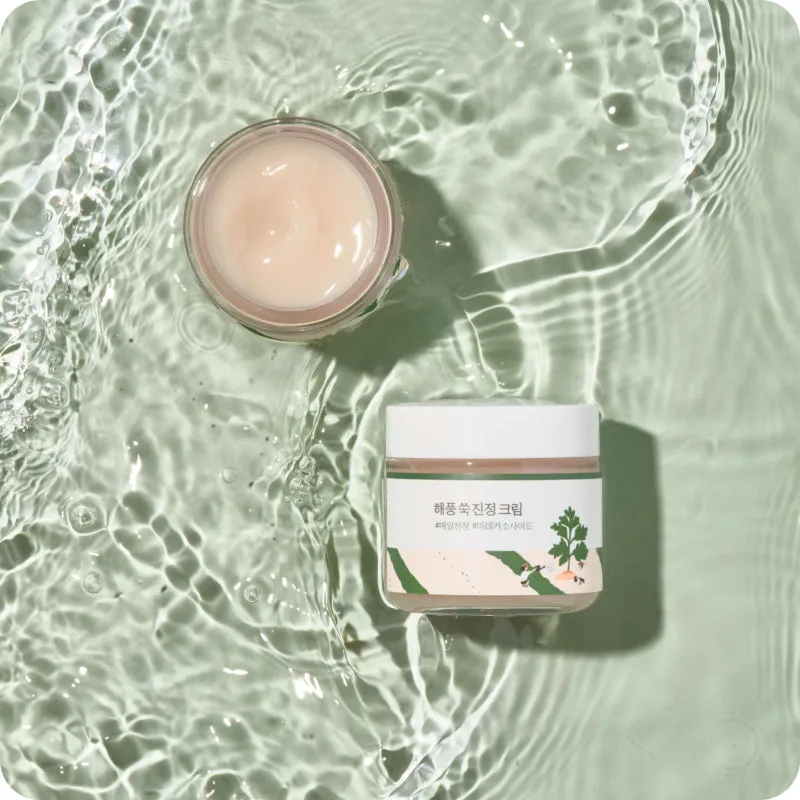 Round Lab Mugwort Calming Cream 80ml